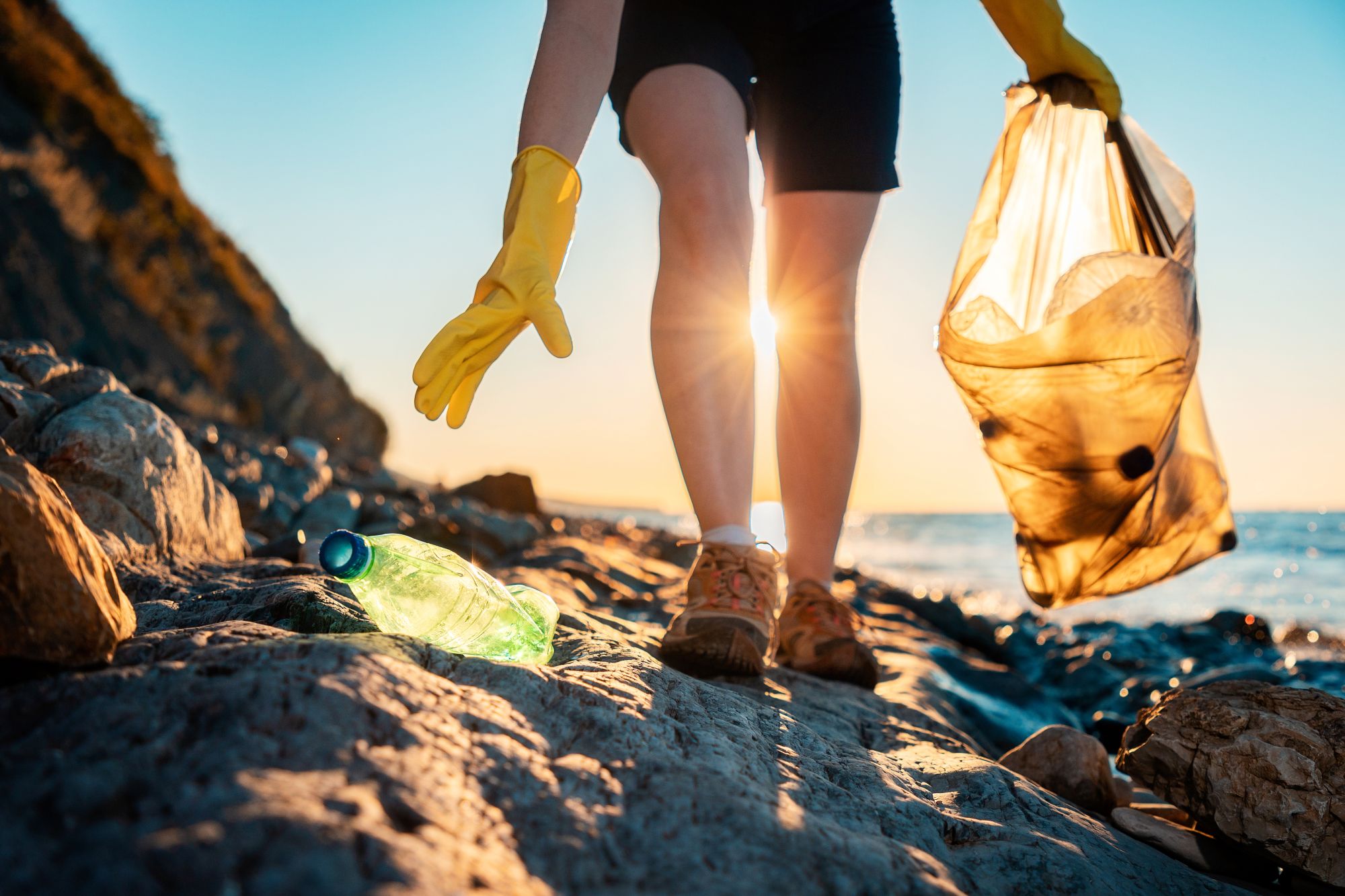 Beach Clean STEKLO