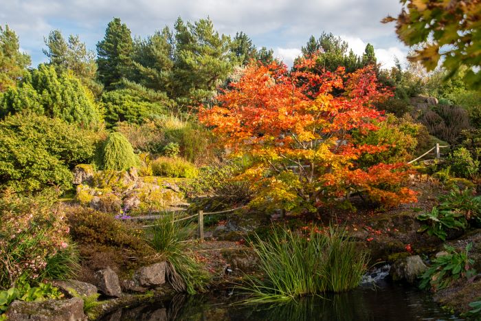 An autumnal scene at the Royal Botanic Garden in Edinburgh