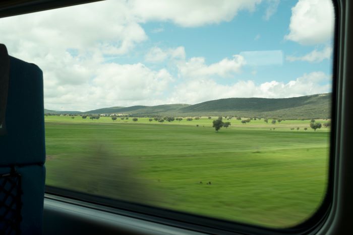 A view of a field from a train