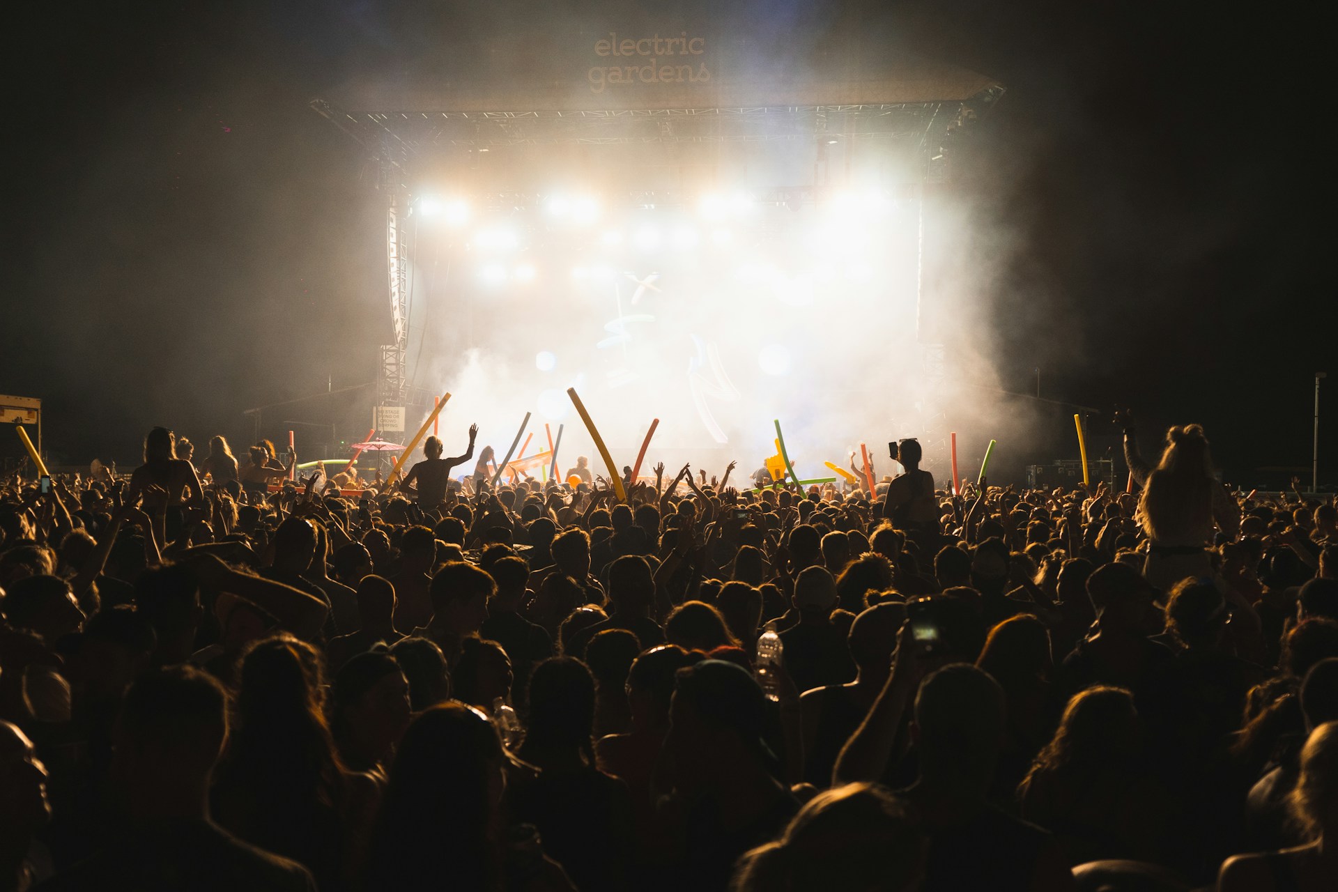 A crowd of people at an indoor music event