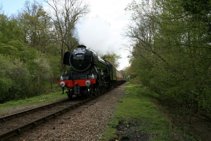 The Flying Scotsman on a railway in the wood