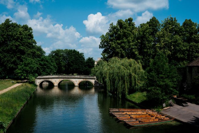 Three people punting on the River Cam on a sunny day, with green trees either side of the water.