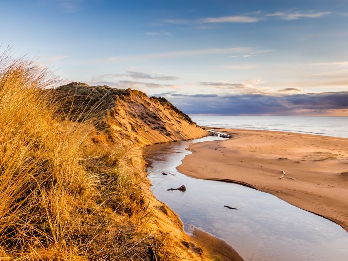 Balmedie Beach sand dunes at sunset.