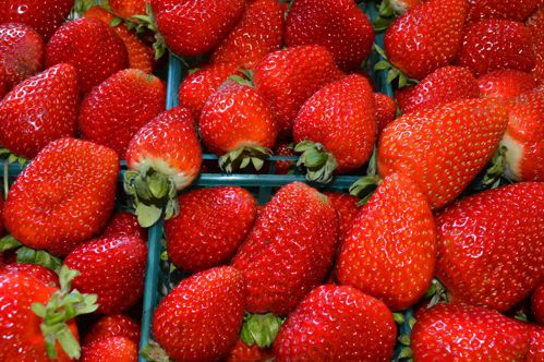 Strawberry Pile Tyke Jones