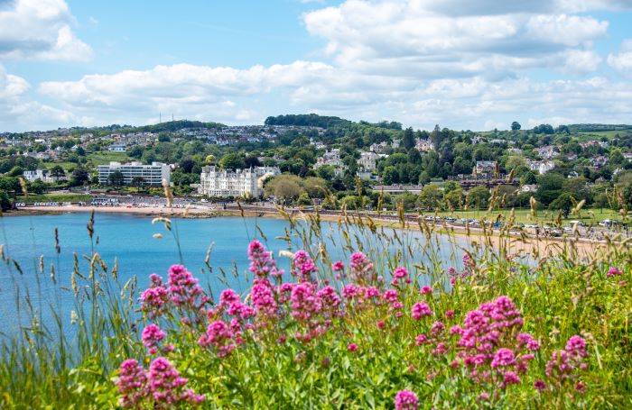 View of Torre Abbey Sands with flowers in the foreground.