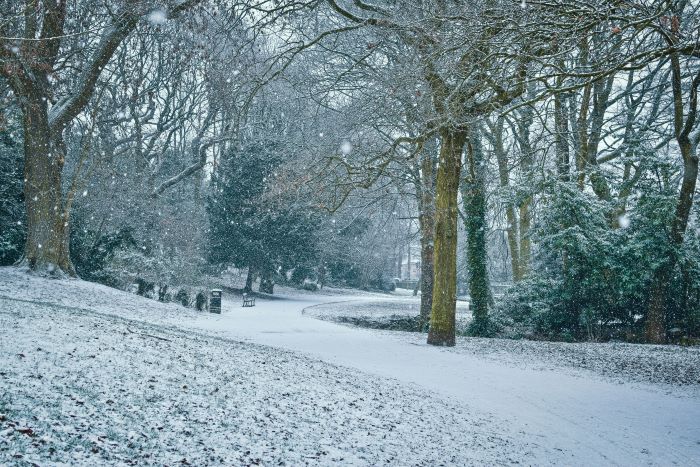 Snowy park in Sheffield