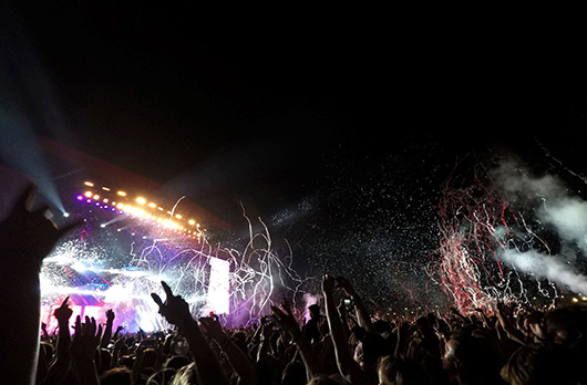 reading-muse-hann