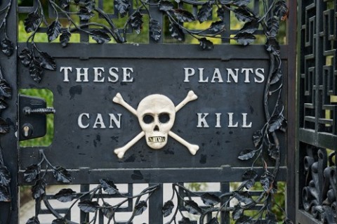 alnwick-poison-garden