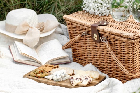 Cheese Picnic Evangelina Silina