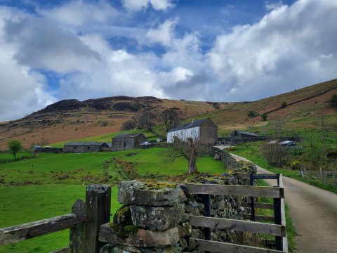 Lake District Priyanka Rangi