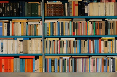 Ria Puskas Bookshelf