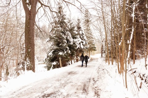 Winter-Walk-Elke-Karin-Lugert-2000